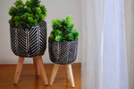 Load image into Gallery viewer, Monochrome Planters - set of 2
