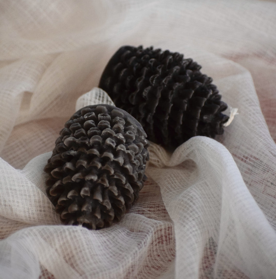 Pine Cones Candles - set of 2