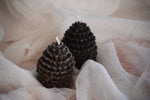 Load image into Gallery viewer, Pine Cones Candles - set of 2
