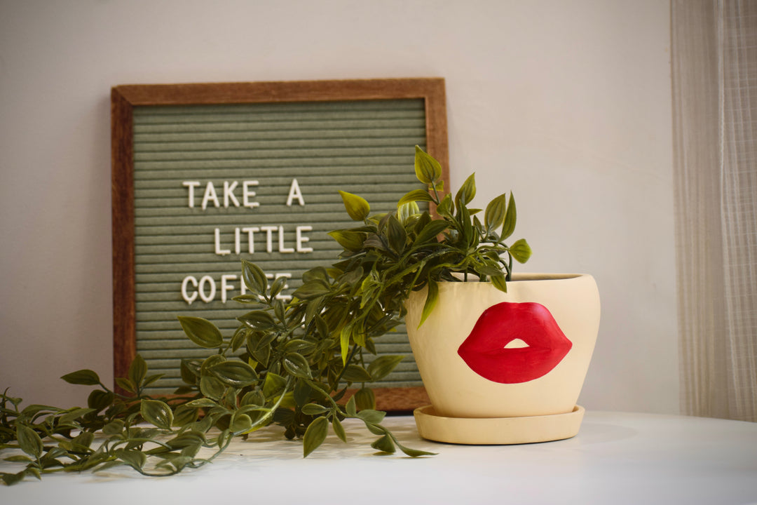 Secret Kiss Planter